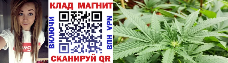 Как найти наркотики Онега Каннабис  Псилоцибиновые грибы  АМФ  ГАШИШ  Cocaine 